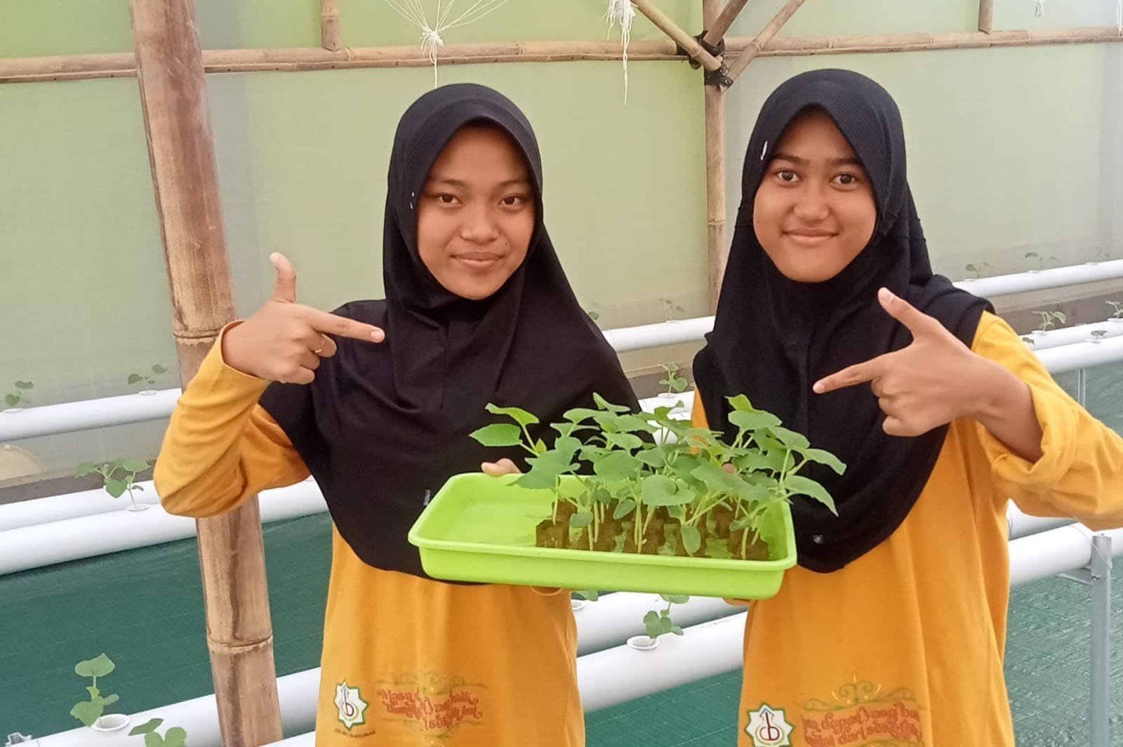 12_Penanaman_Bibit_Melon_di_Greenhouse_MIN_1_Banyumas.jpeg