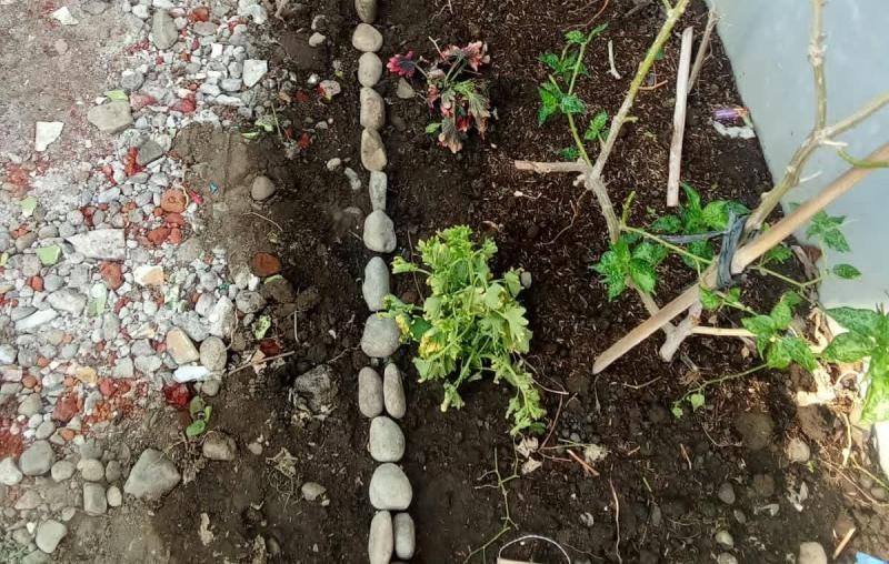 KUA Wangon Wujudkan KUA Asri dengan Tanami Kembali Lahan Kosong