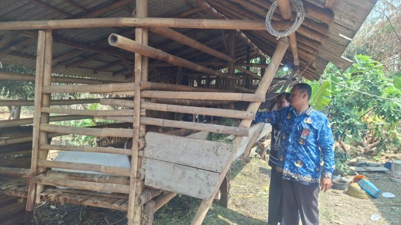 Dorong Kemandirian Ekonomi Umat, Penyuluh KUA Sokaraja Dampingi Warga Kembangkan Ternak Kambing Bantuan Baznas